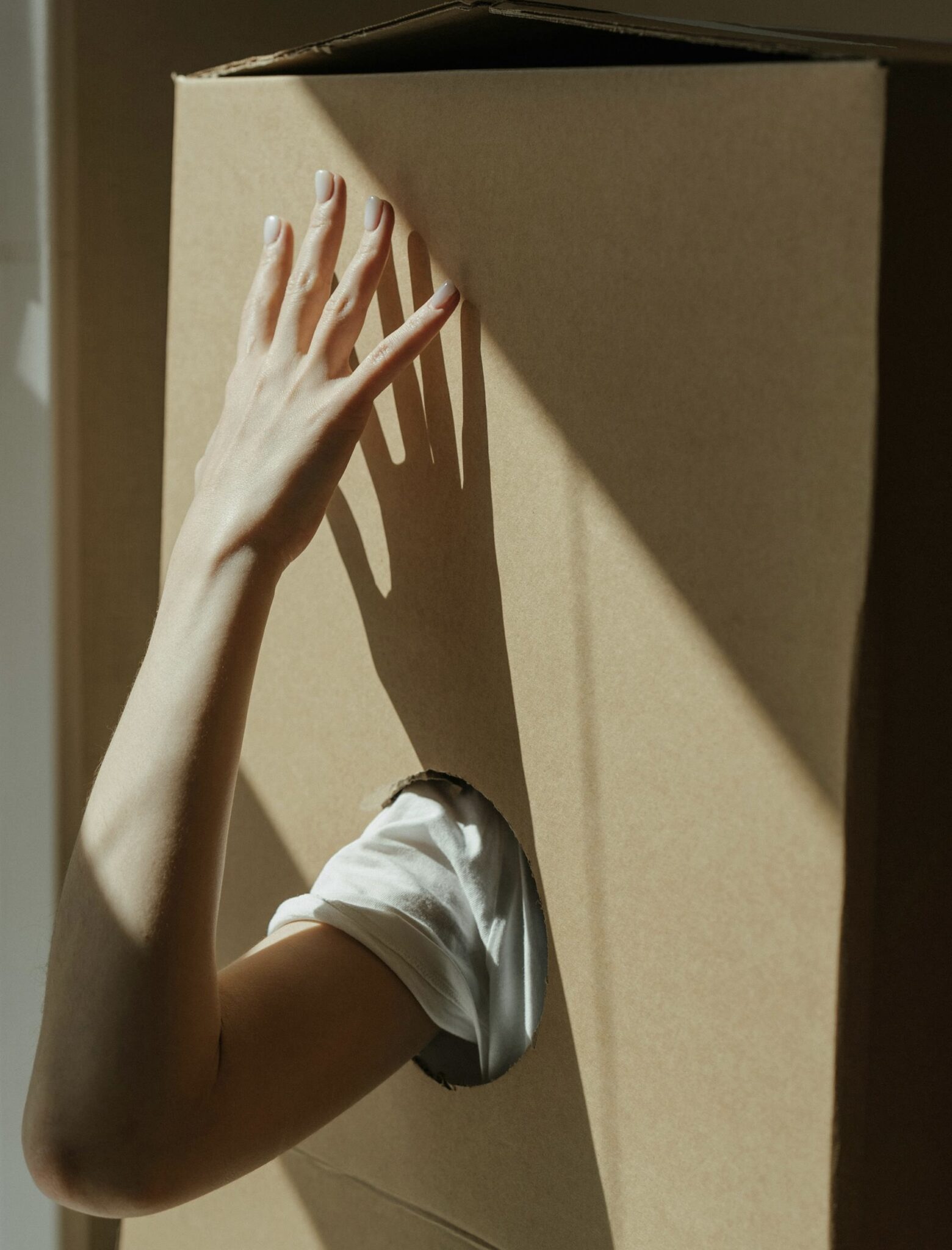 vaemptîness program